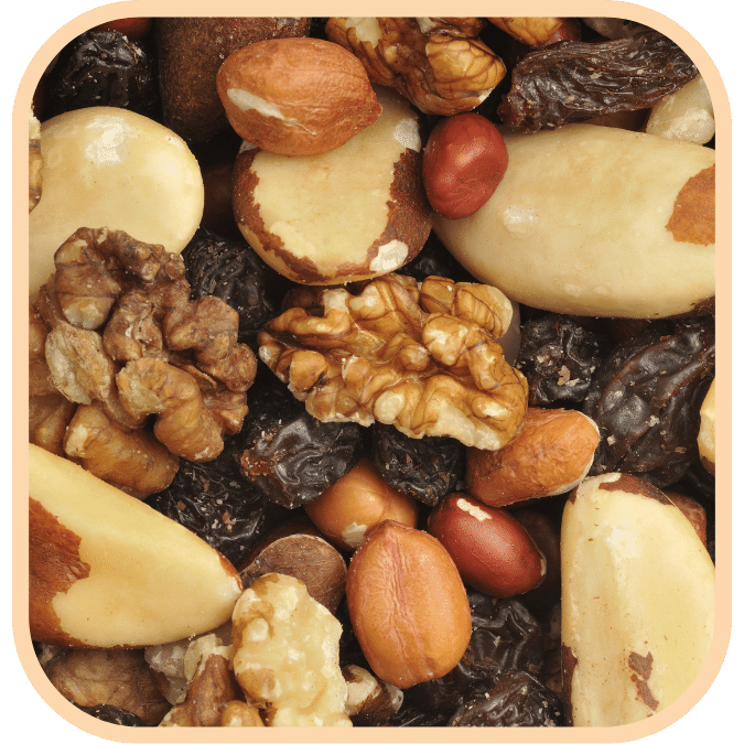 (image for) Fruit and Nut Mix